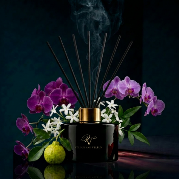 BERGAMOT OBSCURA | Noir Suite